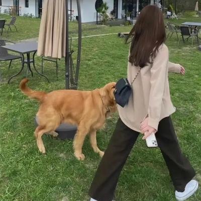斯特拉顿